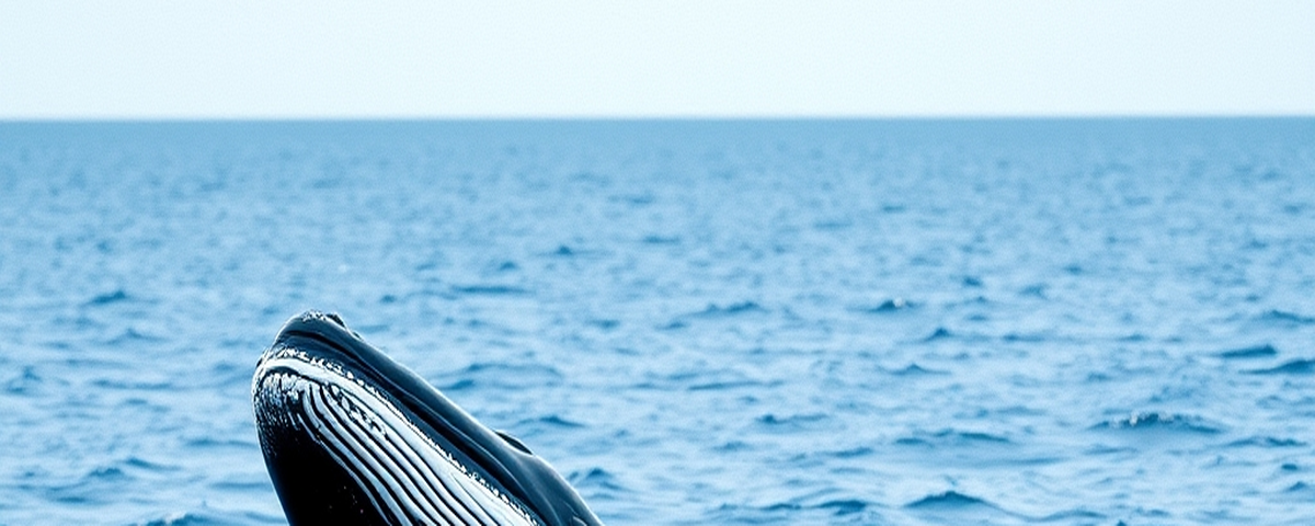 Ethereum Whales Cash In Record Gains Amid Historic Q3 Rally